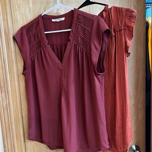 Women's Burnt Orange V-Neck Tops